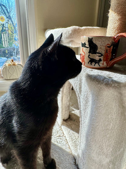 A black cat stands on a white cat tree next to a window, looking toward a ceramic mug printed with black cat silhouettes and orange accents.