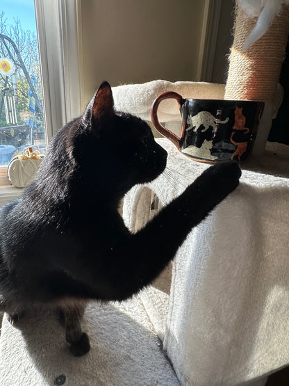 A black cat stands on a white cat tree next to a window, reaching toward a black ceramic mug with white and orange cat illustrations.