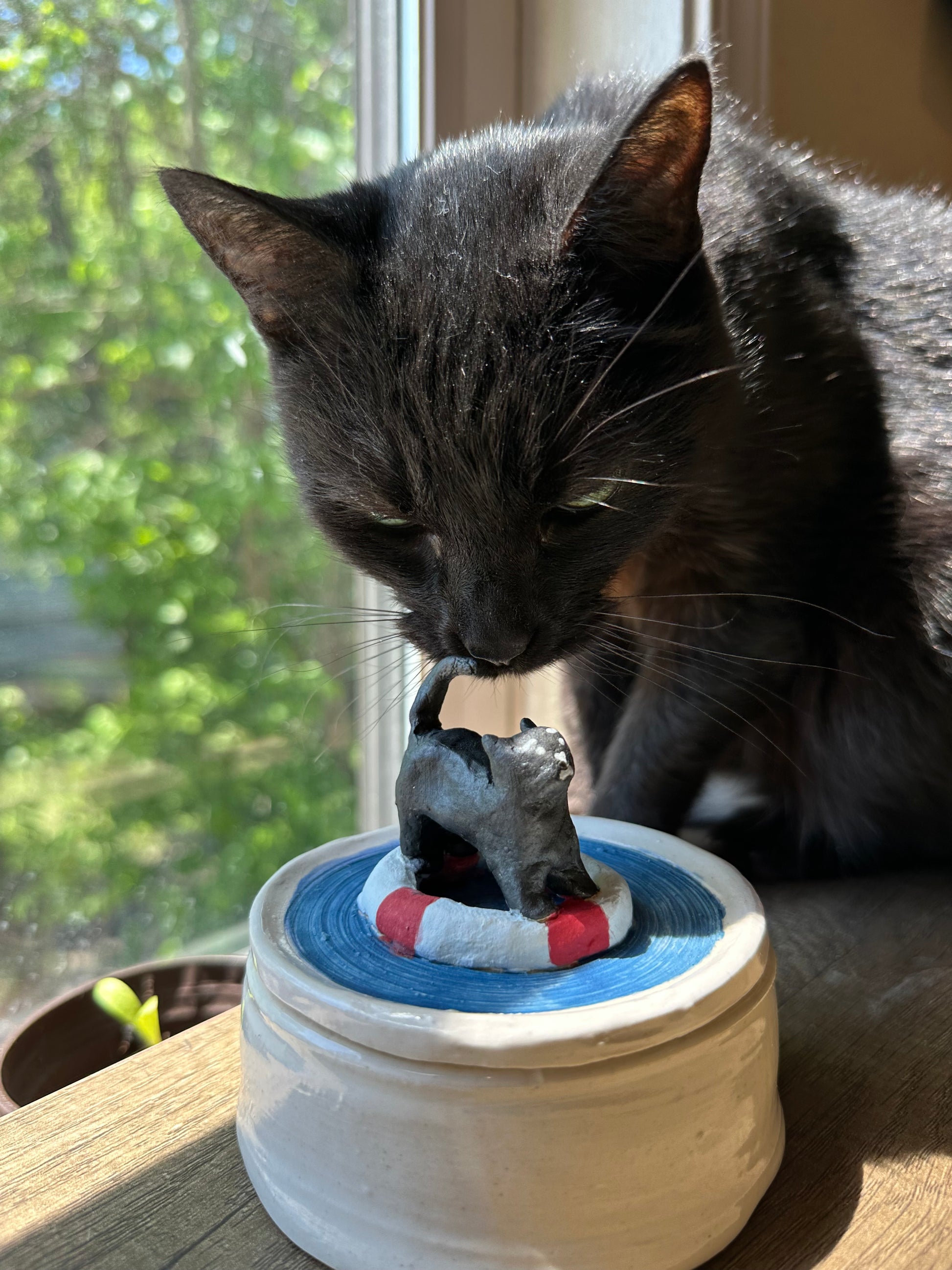 Black cat nose-booping a lidded trinket dish of a scaredy black cat on a pool float in a pool.