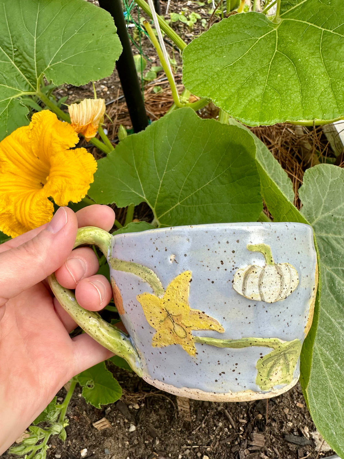 A hand holds a blue ceramic mug with illustrations of pumpkins, pumpkin flowers, pumpkin leaves, and a green handle; set against a garden background of pumpkin leaves and pumpkin flowers.